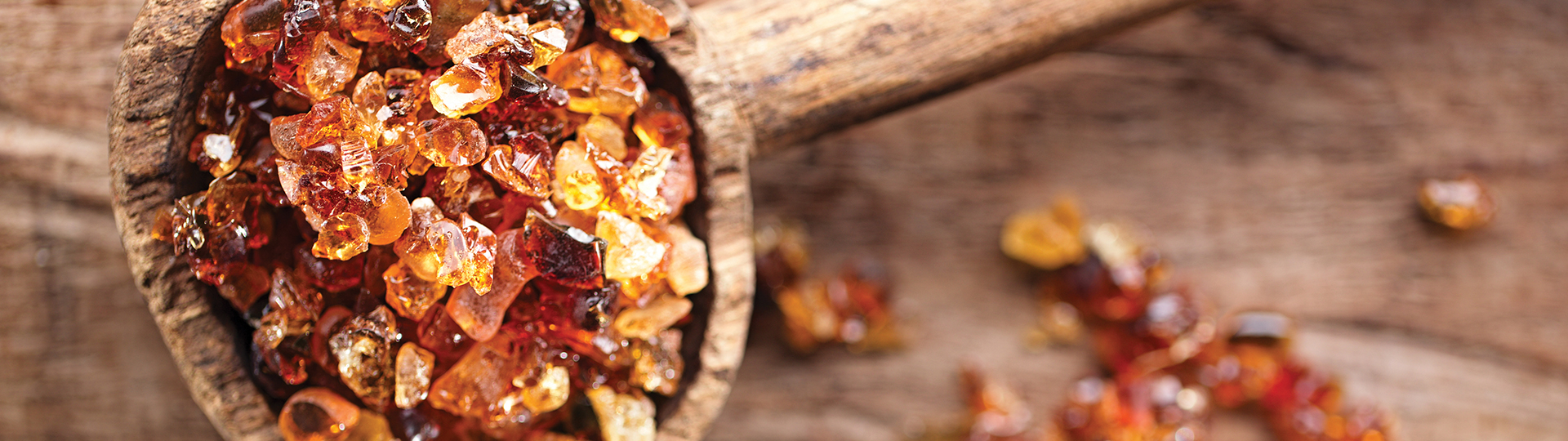 Akasya Ağacı ve Akasya Gamı